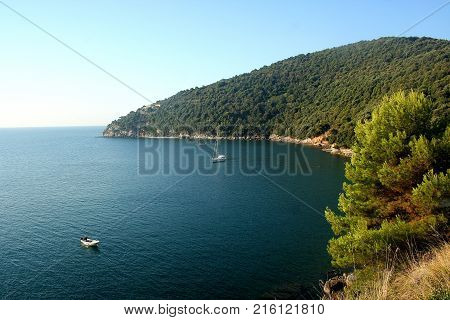 Yachts moored in a bay of the Palmaria island