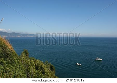 Yachts moored in a bay of the Palmaria island