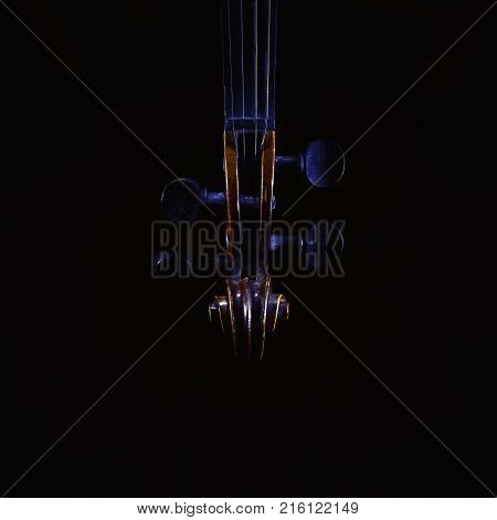 Accentuated shapes of violin with light illuminated in dark.