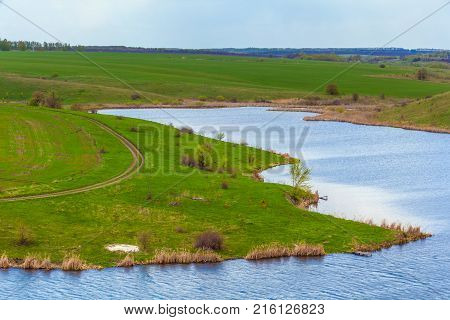 A bush with small white flowers blossoms on the riverbank against a blue sky with white clouds. Green spring in Russia.