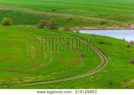 A bush with small white flowers blossoms on the riverbank against a blue sky with white clouds. Green spring in Russia.