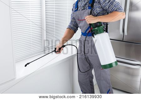 Midsection Of Worker Spraying Insecticide On Windowsill With Sprayer In Kitchen