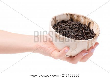 Leaf tea in a pial of female hands on a white background isolation