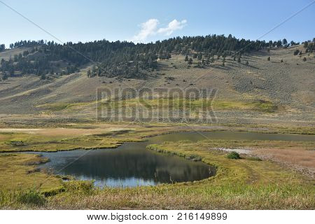 Blacktail Ponds at Yellowstone National Park in the USA