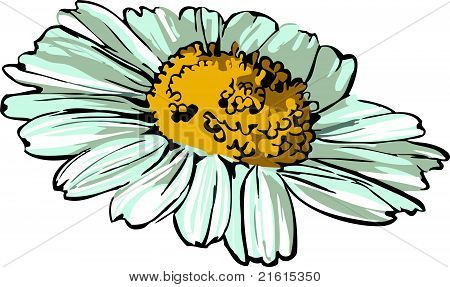 daisy wheel