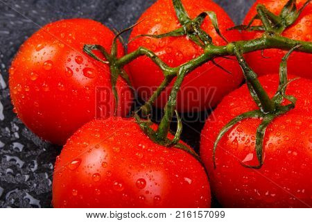 Close-up of mature, juicy, appetizing, bright tomatoes with water drops, on a green branch, lie on a black background.