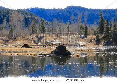 Lime Creak Trail in San Juan National Forrest in CO