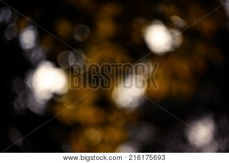 Colorful bokeh background. abstract blurred circles in nature colors. Copyspace for design and text