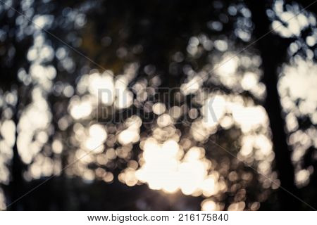Colorful bokeh background. abstract blurred circles in nature colors. Copyspace for design and text
