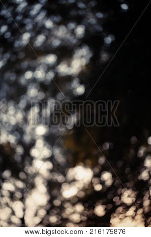 Colorful bokeh background. abstract blurred circles in nature colors. Copyspace for design and text