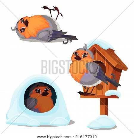 Cute bird sits in a wooden birdhouse isolated on a white background. Winter houses are created for wildlife. Vector cartoon close-up illustration.