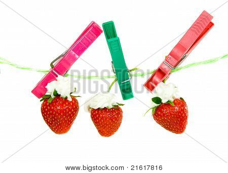 Erdbeere