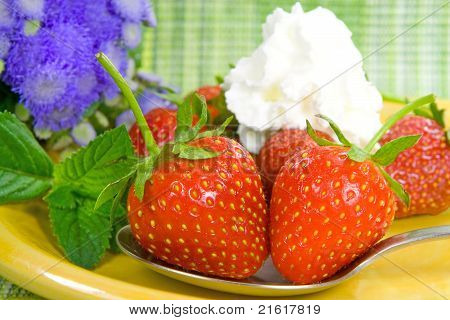 Erdbeere