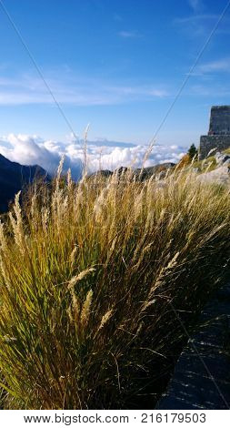 Beautiful orange spikes on a background of mountains and fluffy clouds in Montenegro (Lovcen)