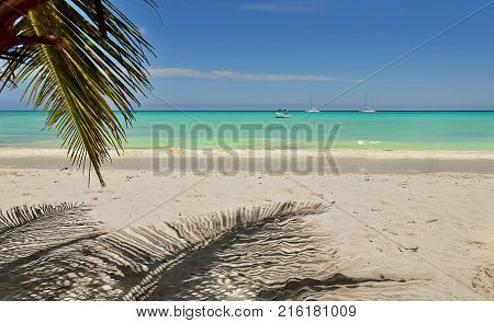 sandy beach of the Atlantic Ocean with a branch of a palm tree in the corner of the frame a boat and a yacht in the background in the ocean