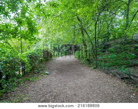  Walkway in Autumn Central Park New York City