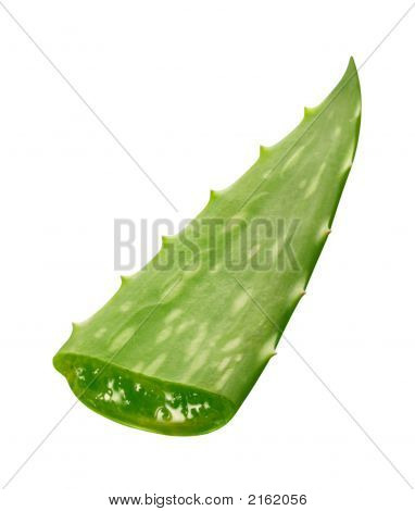 Aloe