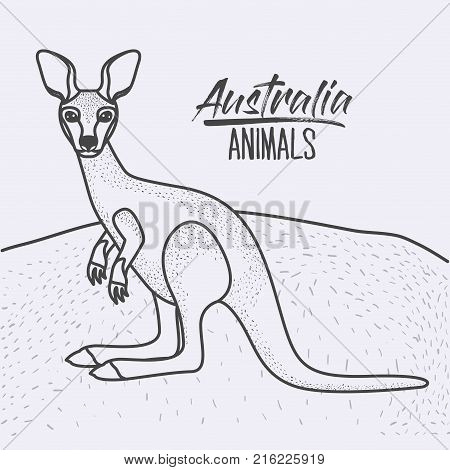 australia animals poster with kangaroo outdoor scene in monochrome silhouette vector illustration
