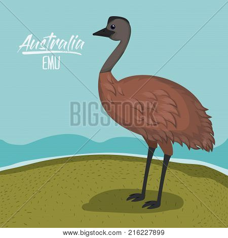 australia emu poster with outdoor scene in colorful silhouette vector illustration