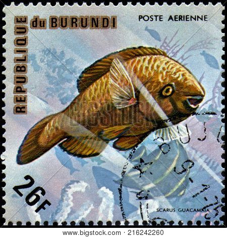 BURUNDI - CIRCA 1974: a postage stamp, printed in Burundi, shows a fish Rainbow Parrotfish (Scarus guacamaia)