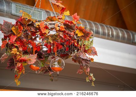 abstract autumn composition with transparent spheres with background