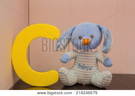 alphabet letter C near rabbit bunny with background