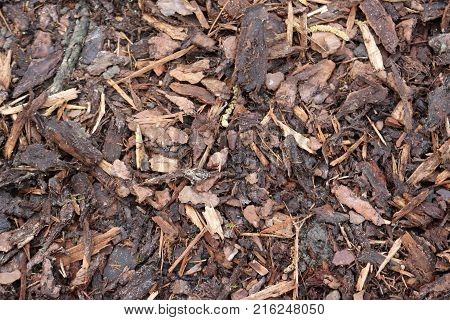 Close view of pulverised tree bark mulch used for horticulture to prevent weed growth.