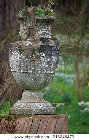 Stone jardiniere in the shape of an urn with plants in the top standing on a dead tree stump. Blurred woodland with snowdrops in the background.