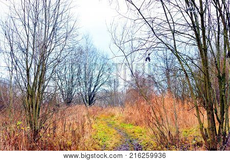 Road in park at autumn at cloud day, Russia.