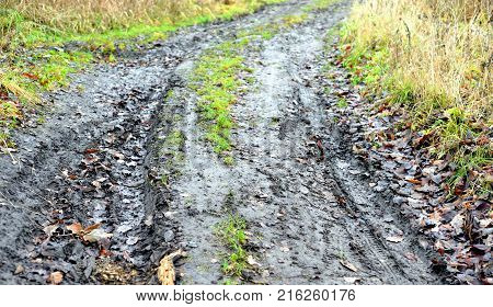 Rural dirty road at autumn cloud day, Russia.