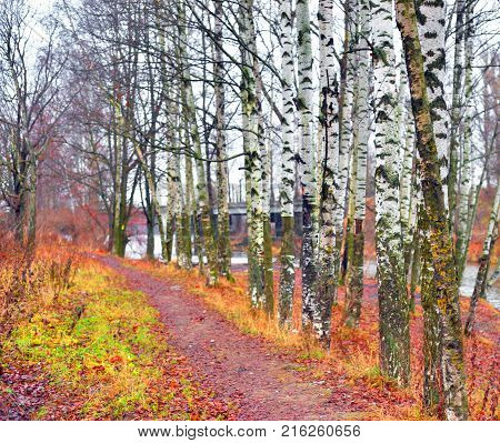 Road in park at autumn at cloud day, Russia.
