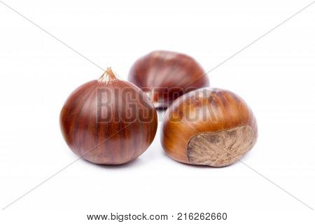 Fresh ripe chestnuts isolated on white background