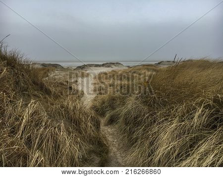 Dunes And Beach In St. Peter-ording In Winter