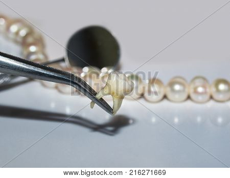 bad rotten tooth pulled out in the opposite forceps dental mirrors and dazzling pearls
