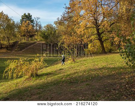 A child walk through the sunny park raises mood and well-being.