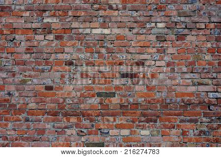 The wall is made of old brick. The brick is not even dark red in color different in size. The stitches are dark and not even. Background. Texture.