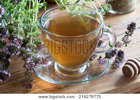 A cup of creeping thyme (thymus serpyllum) tea with blooming creeping thyme twigs on a wooden background