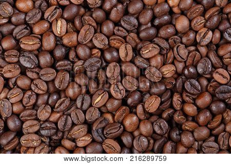 Texture of Espresso 800 gourmet coffee . Espresso 800 elite type of coffee . High resolution photo.