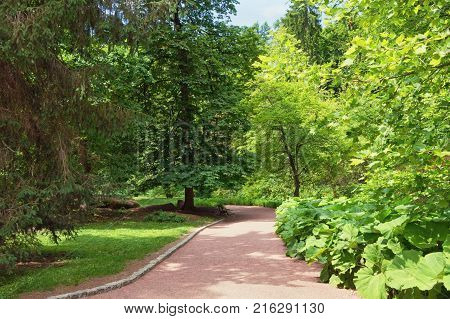 Park alley. View of Sofiyivsky Park (botanical garden) in Uman city, Ukraine