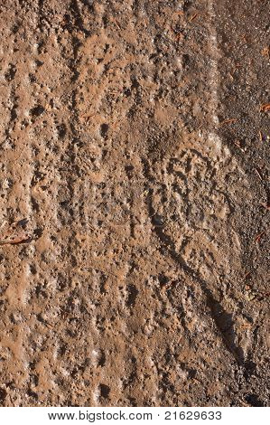 Traces de pneu et de la copie de pied