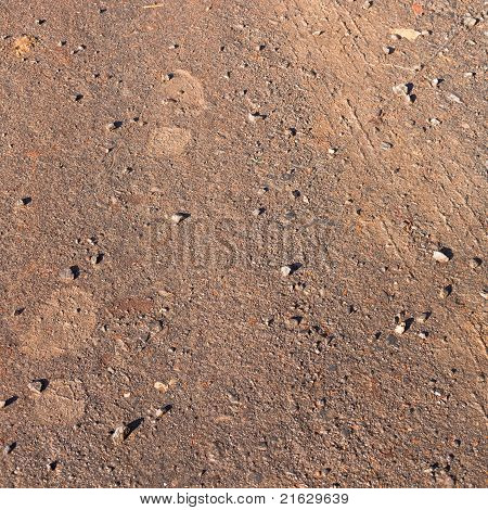 Traces de pneu et empreintes