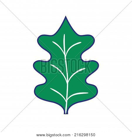 full color tropical kale leal natural plant vector illustration