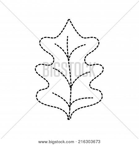 dotted shape tropical kale leal natural plant vector illustration