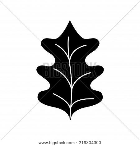 contour tropical kale leal natural plant vector illustration