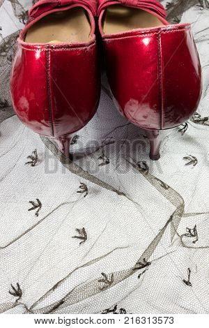 Pair of women's vintage shoes in ruby red viewed from the rear on sheer black lace copy space vertical aspect
