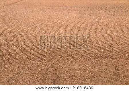 Curves patterns created by blowing wind on sand dunes