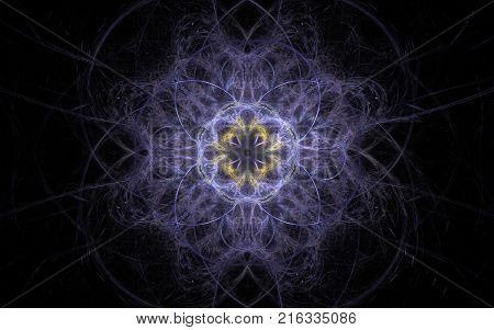 beautiful abstract lilac flower with yellow center on a black background.