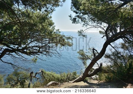 Beautiful places in the park Vorontsov Palace in the vicinity of Yalta Crimea