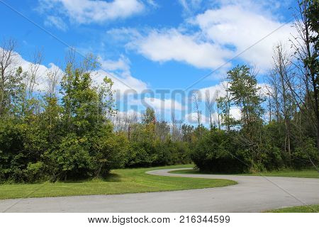 Road winding through the park. Bright blue skies with white clouds on a sunny day