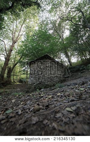 Landscape of one of the abandoned water mills of the Oneta Cascades forest in Asturias, Spain.